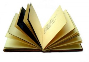 Administración Gestión Calidad Municipal