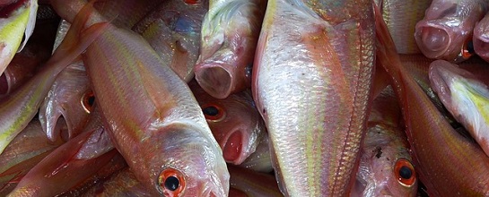 OHSAS-18001-alimentos