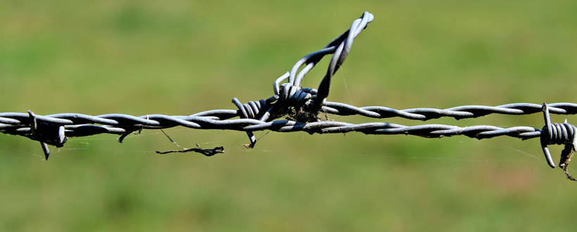 continuidad de negocio