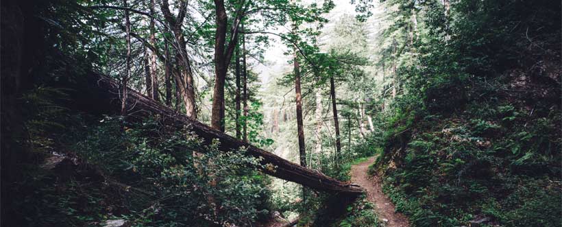 gestión integrada de ISO 14001 y OHSAS 18001